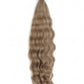 Ash Dark Blond